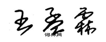 朱錫榮王孟霖草書個性簽名怎么寫