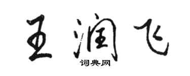 駱恆光王潤飛行書個性簽名怎么寫