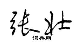 曾慶福張壯行書個性簽名怎么寫