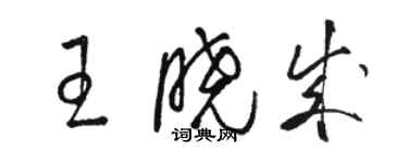 駱恆光王曉成草書個性簽名怎么寫