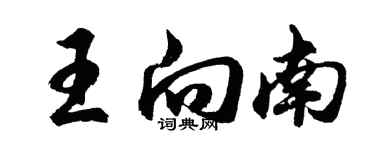 胡問遂王向南行書個性簽名怎么寫