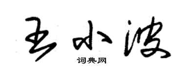 朱錫榮王小波草書個性簽名怎么寫