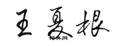 駱恆光王夏根行書個性簽名怎么寫