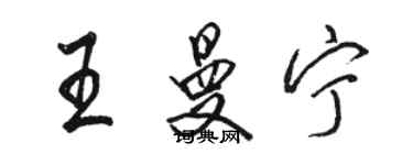 駱恆光王曼寧行書個性簽名怎么寫