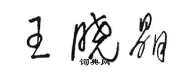 駱恆光王曉晶草書個性簽名怎么寫