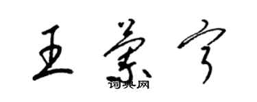 梁錦英王蘭寧草書個性簽名怎么寫