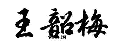 胡問遂王韶梅行書個性簽名怎么寫