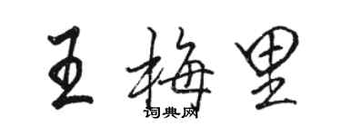 駱恆光王梅里行書個性簽名怎么寫
