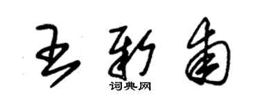 朱錫榮王新甫草書個性簽名怎么寫