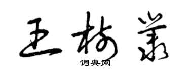 曾慶福王樹叢草書個性簽名怎么寫