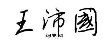 王正良王沛國行書個性簽名怎么寫
