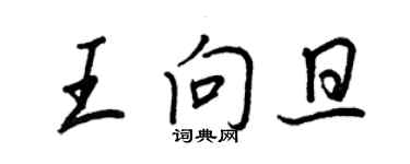 王正良王向旦行書個性簽名怎么寫