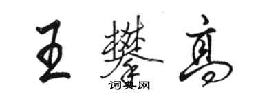 駱恆光王攀高行書個性簽名怎么寫