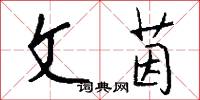 文治武力的意思_文治武力的解釋_國語詞典