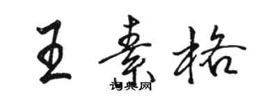 駱恆光王素格行書個性簽名怎么寫