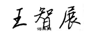 王正良王智展行書個性簽名怎么寫