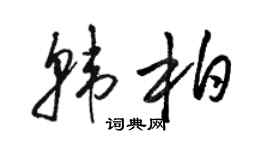 駱恆光韓柏草書個性簽名怎么寫