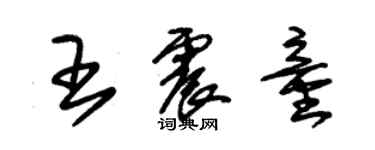 朱錫榮王震童草書個性簽名怎么寫