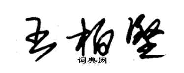 朱錫榮王柏堅草書個性簽名怎么寫