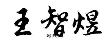 胡問遂王智煜行書個性簽名怎么寫
