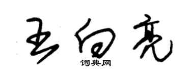 朱錫榮王向亮草書個性簽名怎么寫