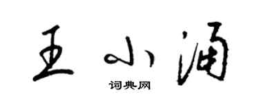 梁錦英王小涌草書個性簽名怎么寫