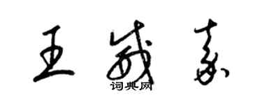 梁錦英王威嘉草書個性簽名怎么寫