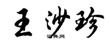 胡問遂王沙珍行書個性簽名怎么寫