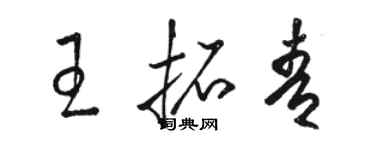 駱恆光王拓青草書個性簽名怎么寫