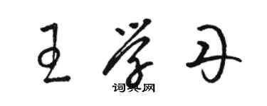 駱恆光王學丹草書個性簽名怎么寫