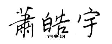 王正良蕭皓宇行書個性簽名怎么寫