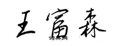 王正良王富森行書個性簽名怎么寫