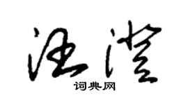 朱錫榮汪澄草書個性簽名怎么寫