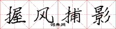 袁強握風捕影楷書怎么寫