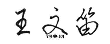 駱恆光王文笛行書個性簽名怎么寫