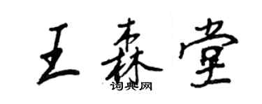 王正良王森堂行書個性簽名怎么寫
