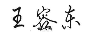 駱恆光王容東行書個性簽名怎么寫