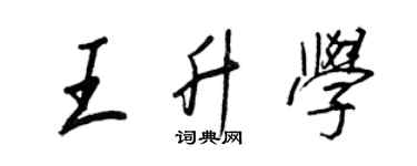王正良王升學行書個性簽名怎么寫
