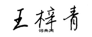 王正良王梓青行書個性簽名怎么寫