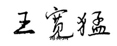 曾慶福王寬猛行書個性簽名怎么寫