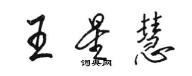 駱恆光王星慧行書個性簽名怎么寫