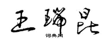 曾慶福王瑞昆草書個性簽名怎么寫