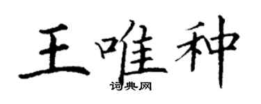 丁謙王唯種楷書個性簽名怎么寫
