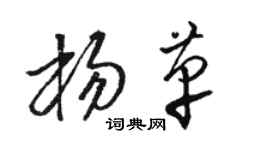 駱恆光楊革草書個性簽名怎么寫