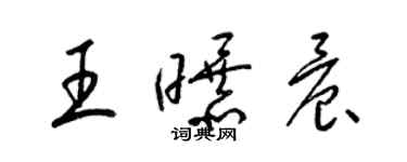 梁錦英王曝晨草書個性簽名怎么寫