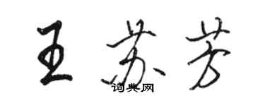 駱恆光王蘇芳行書個性簽名怎么寫