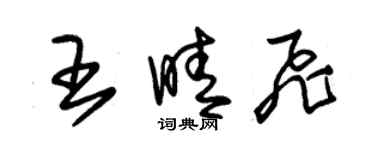 朱錫榮王晴飛草書個性簽名怎么寫