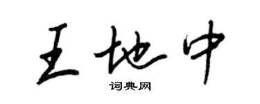 王正良王地中行書個性簽名怎么寫