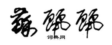 朱錫榮蘇麗麗草書個性簽名怎么寫