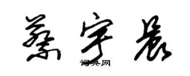 朱錫榮蔡宇晨草書個性簽名怎么寫